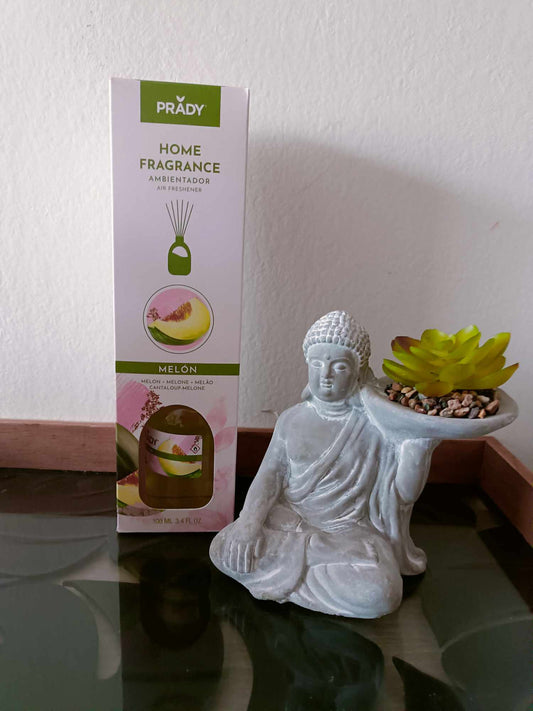 Diffuseur mikado PRADY senteur melon